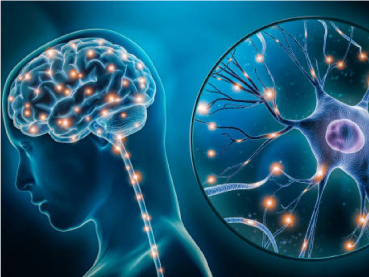 Illustrations of electrical pulses in the brain.